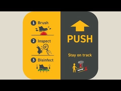 Prevent the spread of kauri dieback disease